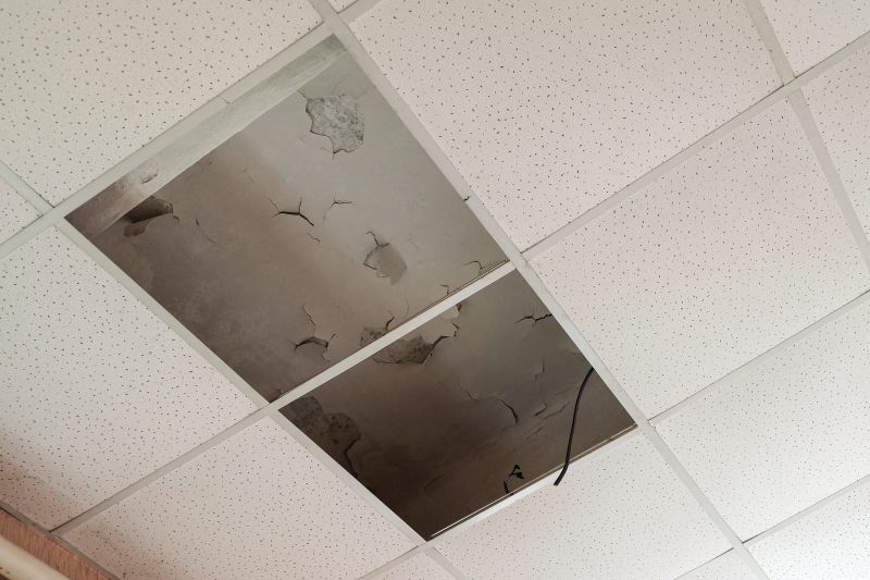Water Damage Ceiling Repair in Santa Rosa, CA