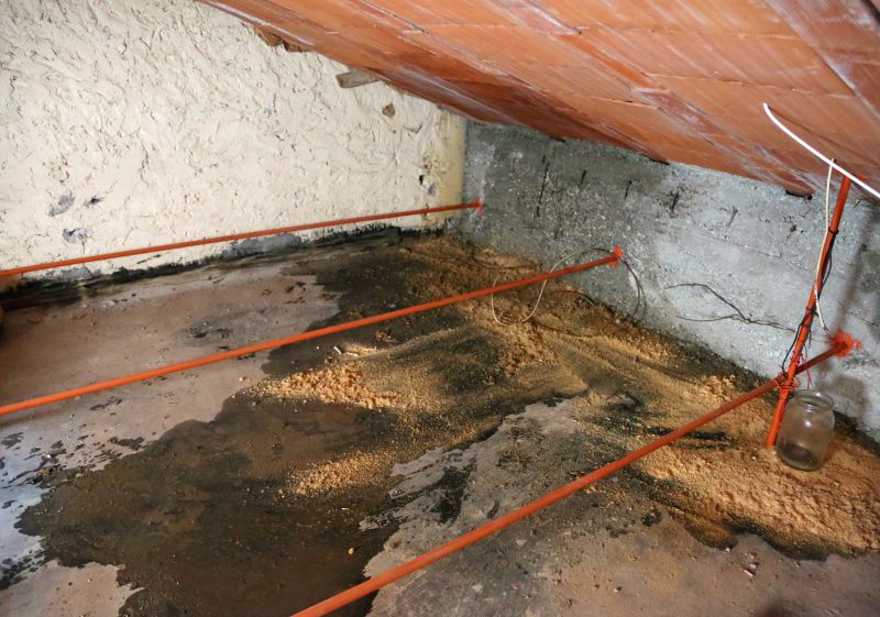 Leaking Ceiling Repair in Santa Rosa, CA